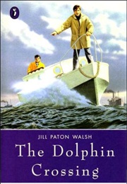 The Dolphin Crossing