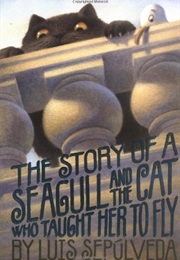 The Story of a Seagull